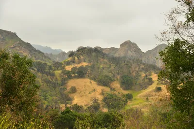 DSC_6508 (Large).JPG